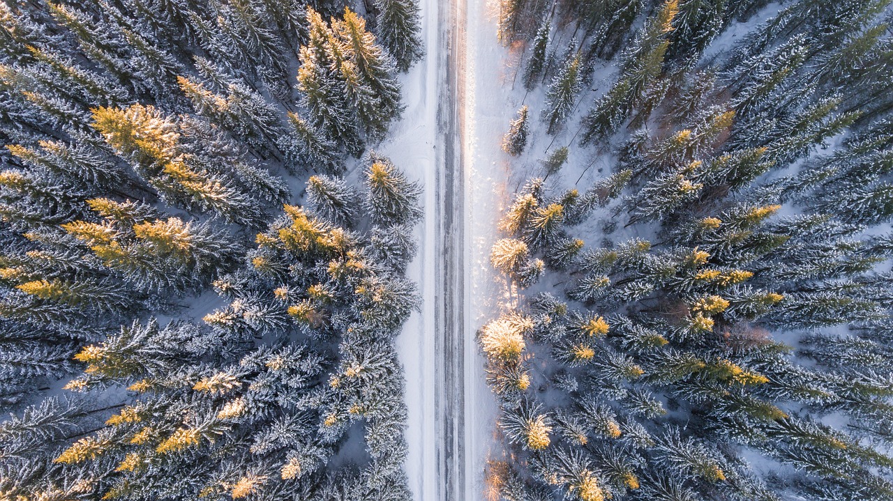 10 Tips for a Sustainable Holiday Season